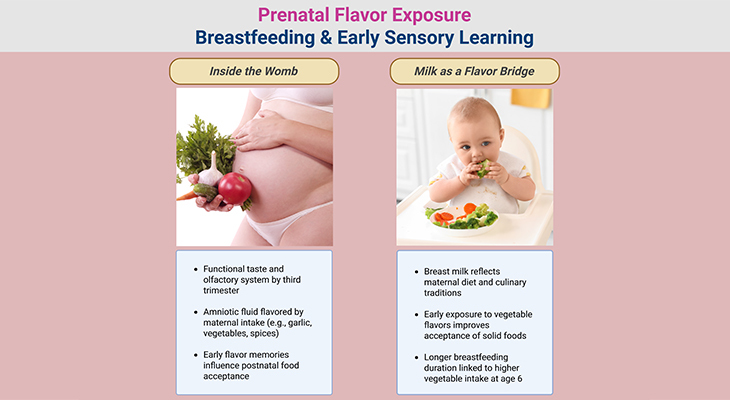 Prenatal Flavor Exposure Breastfeeding and Early Sensory Learning