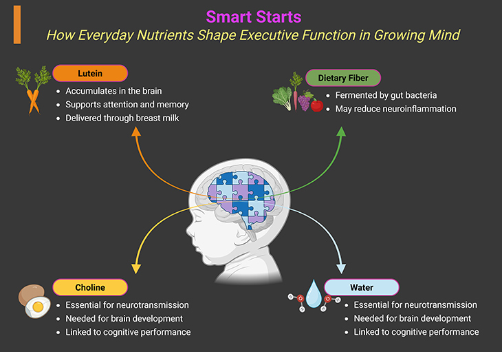 Smart Starts: How Everyday Nutrients Shape Executive Function in Growing Minds