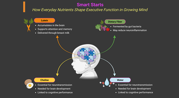 Smart Starts: How Everyday Nutrients Shape Executive Function in Growing Minds